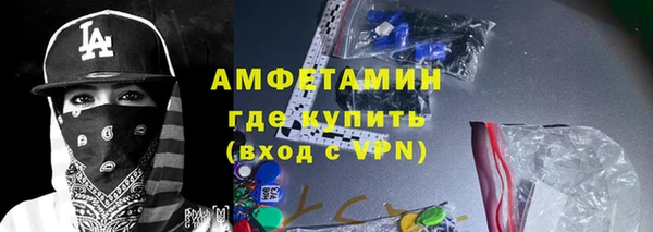 индика Горнозаводск