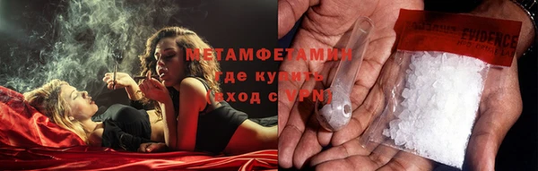 индика Горнозаводск
