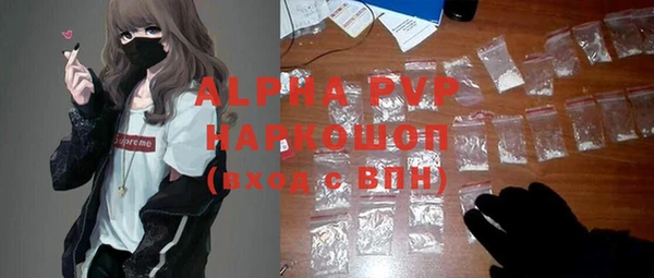 индика Горнозаводск