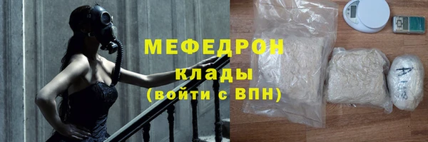индика Горнозаводск