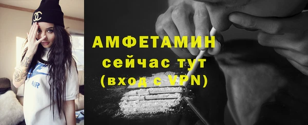 индика Горнозаводск