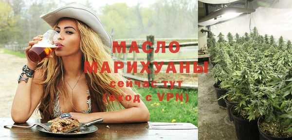индика Горнозаводск