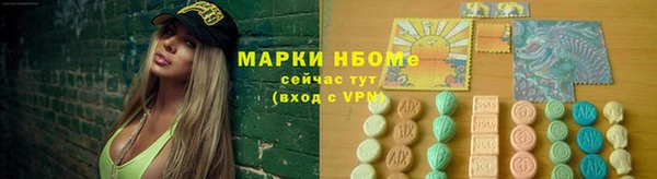 индика Горнозаводск