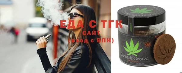 индика Горнозаводск