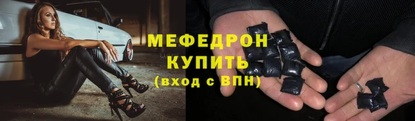 индика Горнозаводск