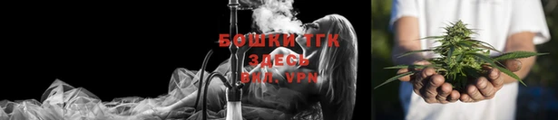 индика Горнозаводск