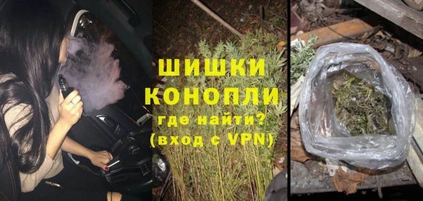 индика Горнозаводск