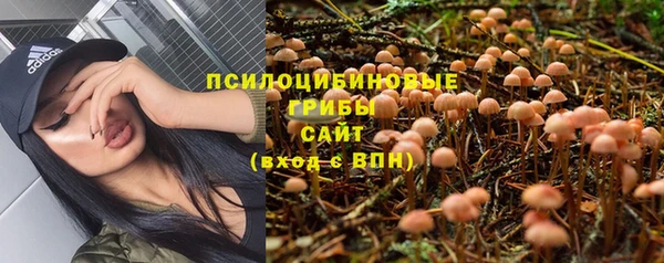 герыч Горняк
