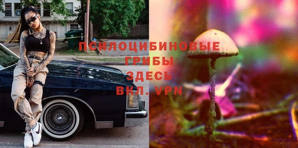 индика Горнозаводск
