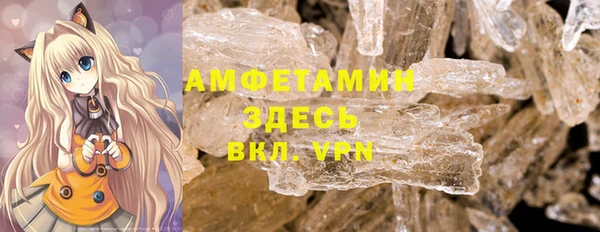 индика Горнозаводск