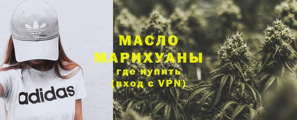 индика Горнозаводск
