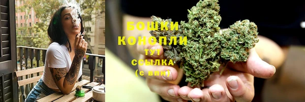 индика Горнозаводск
